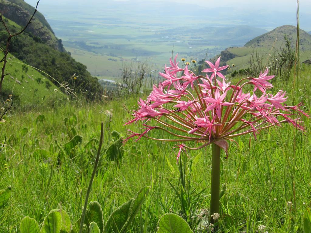 Verlorenkloof Dullstroom Dış mekan fotoğraf